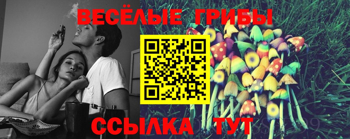 Псилоцибиновые грибы ЛСД  магазин    Вход с VPN  Южно-Сахалинск  Псилоцибиновые грибы GOLDEN TEACHER 